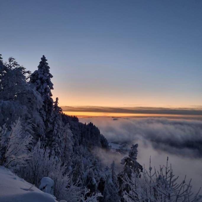 Apartament Le Montagnard Mijoux Zewnętrze zdjęcie